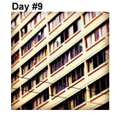 Day Nine: Urban Patterns